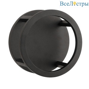 Уличный настенный светодиодный светильник Arte Lamp Hassaleh A3370AL-1BK