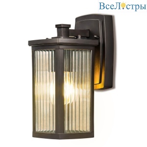 Уличный настенный светильник Elektrostandard Lame D кофе GL 1006D 4690389148385