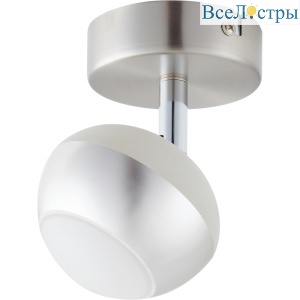 Спот Toplight Doreen TL1241Y-01SN