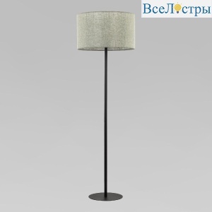 Торшер TK Lighting 5476 Earth a065160