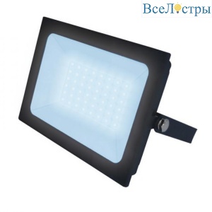 Прожектор светодиодный Uniel (UL-00007365) ULF-F21-50W/6500K IP65 200-250В Black