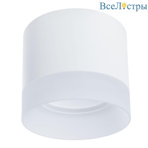Потолочный светильник Arte Lamp Castor A5554PL-1WH