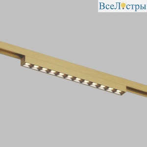 Трековый магнитный светильник Denkirs Shine Grill Zigbee DK5971-SB