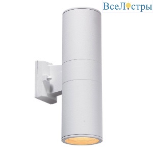 Уличный настенный светильник AM Group AM117Sh-2201WH