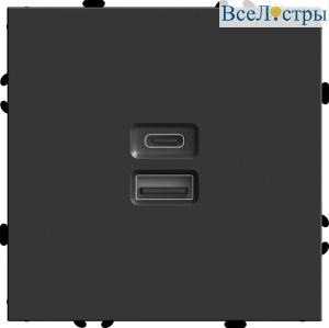 Розетка 2-местная USB + Type C Stekker RST10-5115-05 Эмили 49853