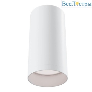 Потолочный светильник Maytoni Alfa C010CL-01W