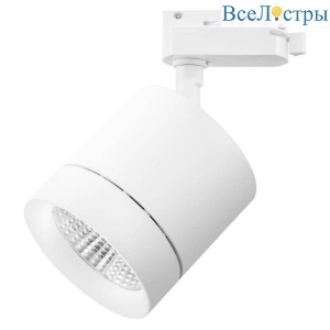 Светильник на штанге Lightstar Canno 301264