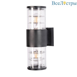 Уличный настенный светильник Arte Lamp Tokyo A5315AL-2BK