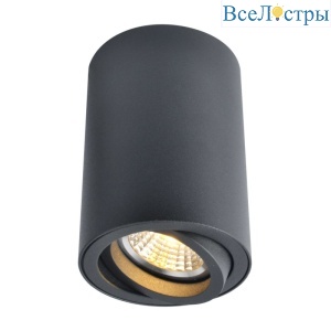 Потолочный светильник Arte Lamp A1560PL-1BK