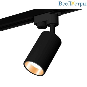 Комплект трекового светильника Ambrella light Track System XT6323023 SBK/PYG черный песок/золото желтое полированное (A2521, C6323, N6113)