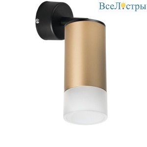 Встраиваемый спот Lightstar Rullo RB44031 (214440+590007+202431)