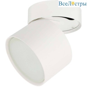Накладной светильник ЭРА OL12 GX53 SWH Б0049035