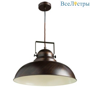 Подвесной светильник Arte Lamp Martin A5213SP-1BR