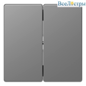 Клавиша двойная Schneider Electric Merten D-Life MTN3400-6036