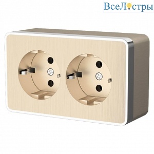 Розетка Werkel двойная с заземлением Gallant шампань рифленый W5072110 4690389164682 a051037