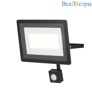 Прожектор светодиодный Maytoni Flood 50W 6500K FL001-L50B6KSR