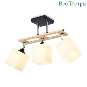 Спот Ambrella light Traditional Modern TR9507
