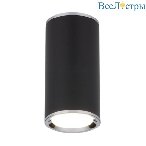 Потолочный светильник Elektrostandard DLN101 GU10 BK черный 4690389135873