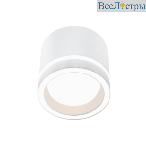 Накладной светильник Wolta Luce WSL-GX53/06W