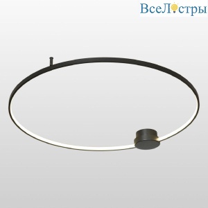 Потолочная люстра Lussole Lowell LSP-7110