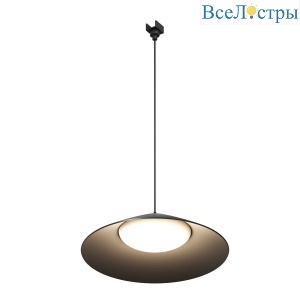 Уличный трековый светильник Maytoni Campana O-TR01-1-P-12WB3K