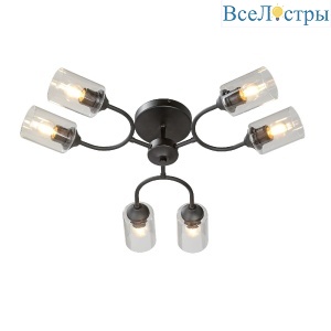 Потолочная люстра Vitaluce V2822-1/6PL