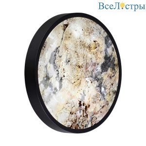 Настенно-потолочный светильник Odeon Light Bergi 5064/30L