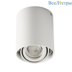 Накладной точечный светильник Kanlux TOLEO DTO50-W 26111