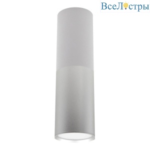 Потолочный светодиодный светильник Escada 20007SMU/02LED SWH/CH
