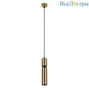 Подвесной светильник Arte Lamp Ran A3145SP-1PB