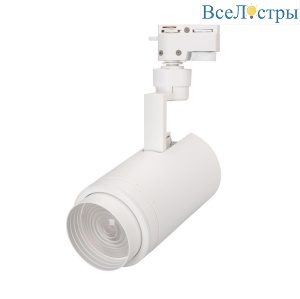 Трековый светодиодный светильник Arlight LGD-Zeus-2TR-R88-20W Day4000 025914(1)