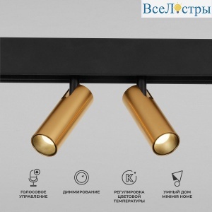 Трековый светодиодный светильник Elektrostandard Slim Magnetic Dim Dual 85056/01 латунь a063527