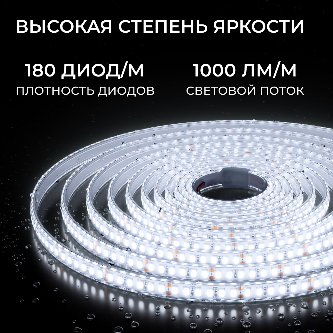 светодиодная лента apeyron 24в, 12 вт/м, 1000 лм/м, 6500к, smd2835, 180 д/м, ip65, 5м 00-449