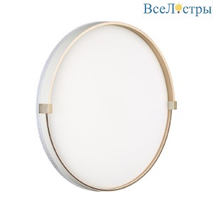 Настенно-потолочный светильник Sonex Olidi white 7646/DL