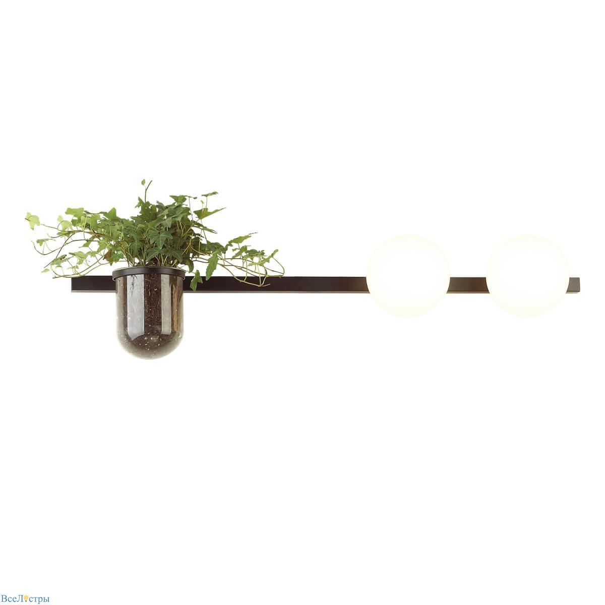 бра odeon light flower 4681/2w