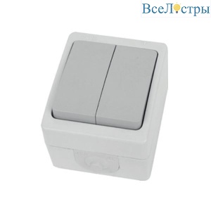 Выключатель двухклавишный Stekker Велена белый/серый PSW10-221-54 49733
