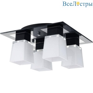 Потолочная люстра Lussole Lente LSC-2507-04