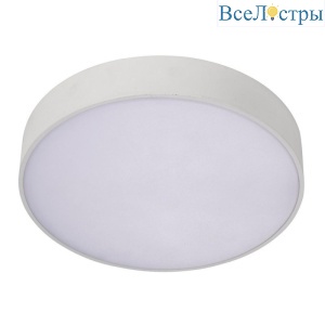 Потолочный светильник Aployt Evon APL.0114.09.24