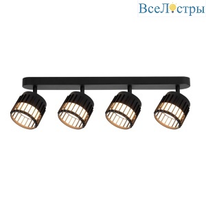 Спот Arte Lamp Atria A8031PL-4BK