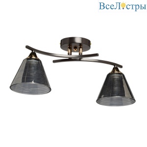 Потолочный светильник De Markt Тетро 673018902