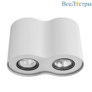 Потолочный светильник Arte Lamp Falcon A5633PL-2WH