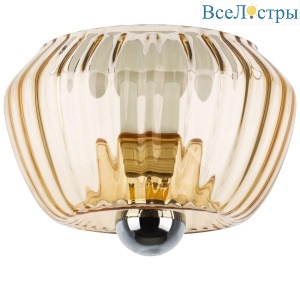 Потолочный светильник Lightstar Celesta 809003