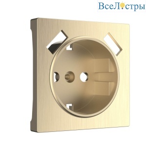 Накладка для розетки USB Werkel шампань рифленый W1179510 4690389160592