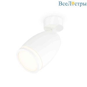 Комплект накладного светильника Ambrella light Techno Spot XM1122004 SWH/FR белый песок/белый матовый (A2202, C1122, N7120)