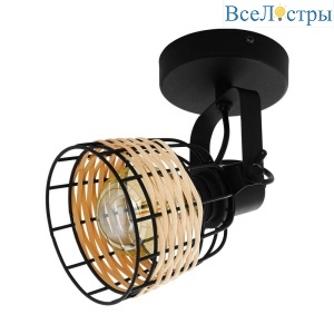 Спот Eglo Anwick 43324