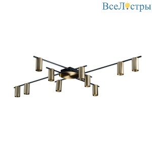 Потолочная люстра Loft IT Tribes 8120C-10