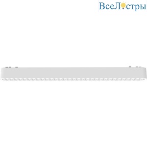 Трековый светильник Wertmark WTH.O21.007.40.18