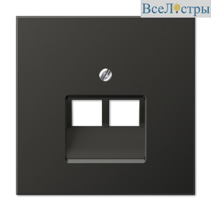 Накладка для комп. розетки 2хRJ45 Jung AL2969-2UAAN