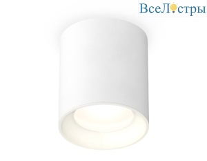Потолочный светильник Ambrella Light Techno Spot XS7421010 (C7421, N7020)