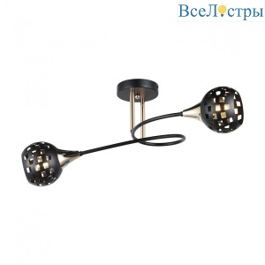 Потолочный светильник IMEX MD.19074-2-S-BK+FGD